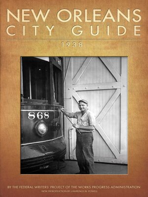 cover image of New Orleans City Guide